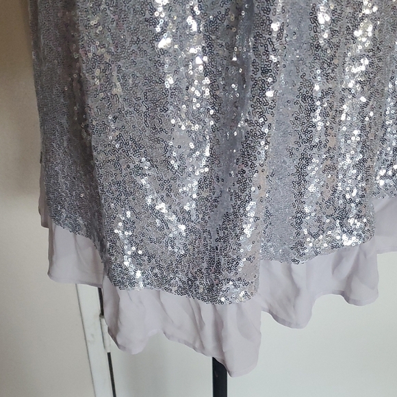 No Boundaries Silver Sequin Mini Dress - Picture 5 of 11
